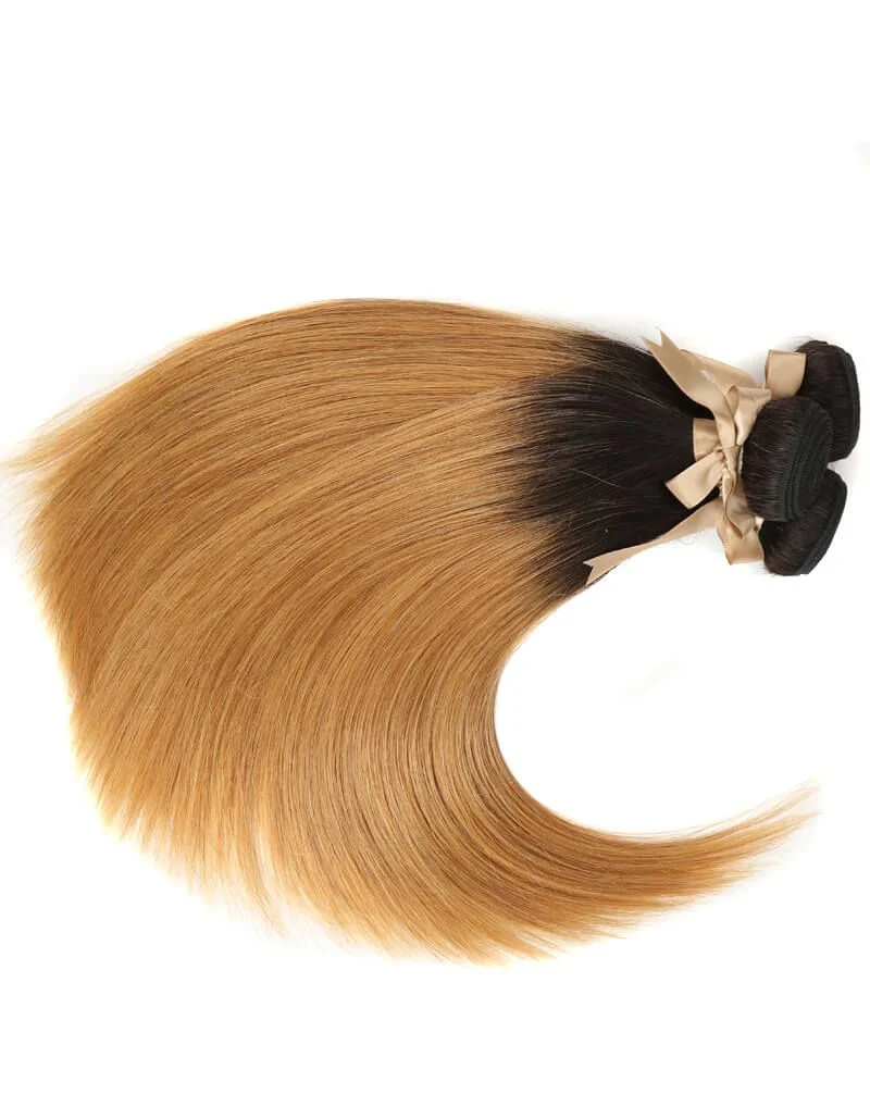 QVR Remy Human Hair 3 Bundles Straight Hair T1B/27 - Image 2