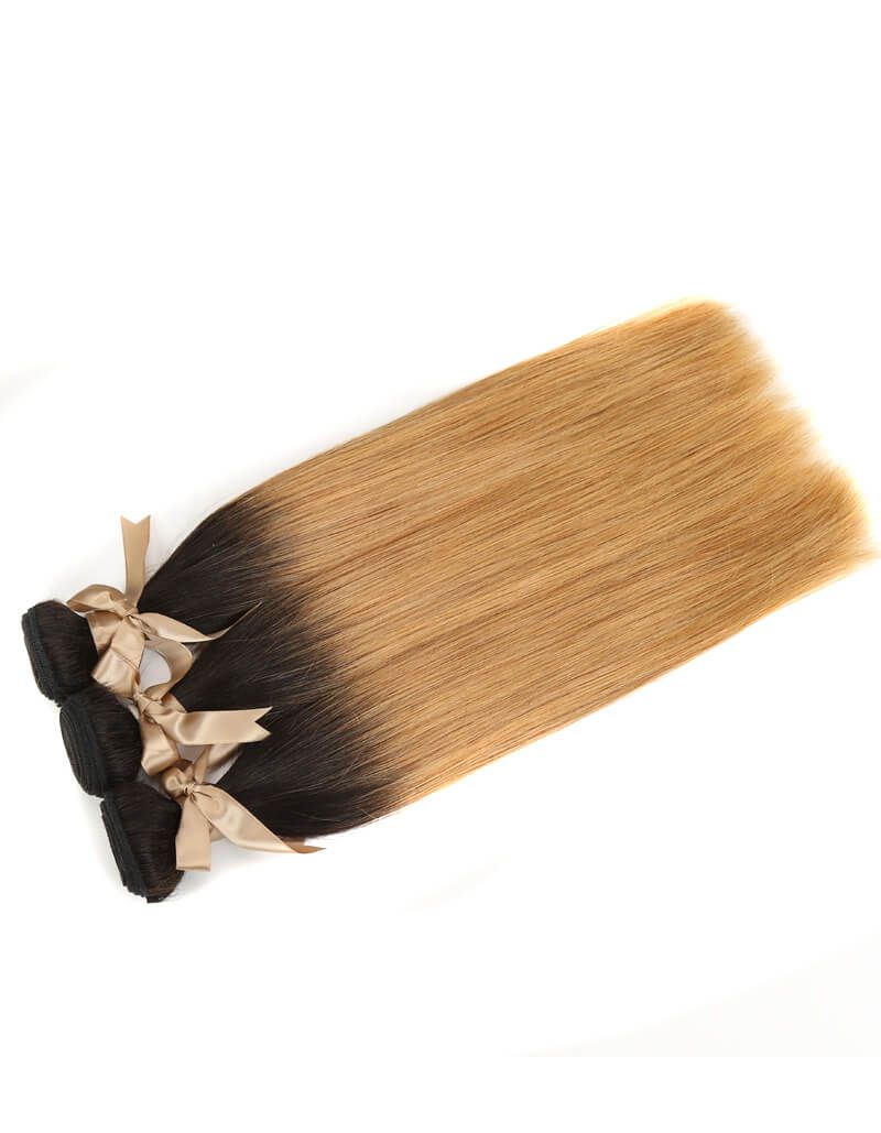 QVR Remy Human Hair 3 Bundles Straight Hair T1B/27 - Image 4