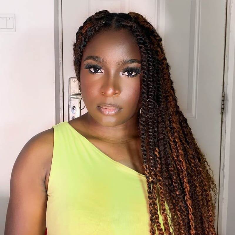 QVR Dark Brown+Auburn Brown Afro Kinky V Bulk Curly Hair for Kinky Twist Crochet Braiding Hair - Image 3