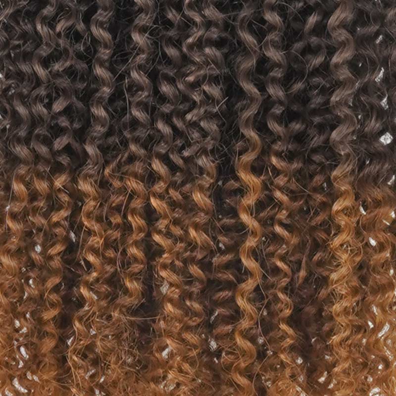 US Only|QVR #T2/30 Afro Kinky Curly Feather Crochet Human Hair - Image 7